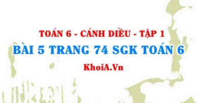 Bài 5 trang 74 SGK Toán 6 tập 1 Cánh Diều